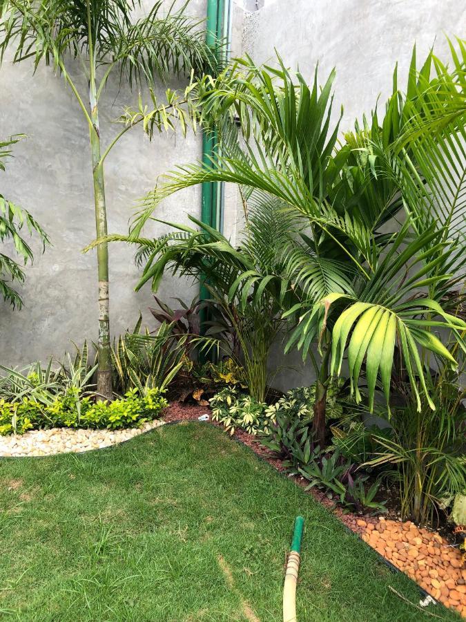 Hotel Suites La Negra Boutique Merida Exterior photo